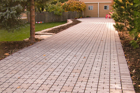 services 0000 11 0006 5